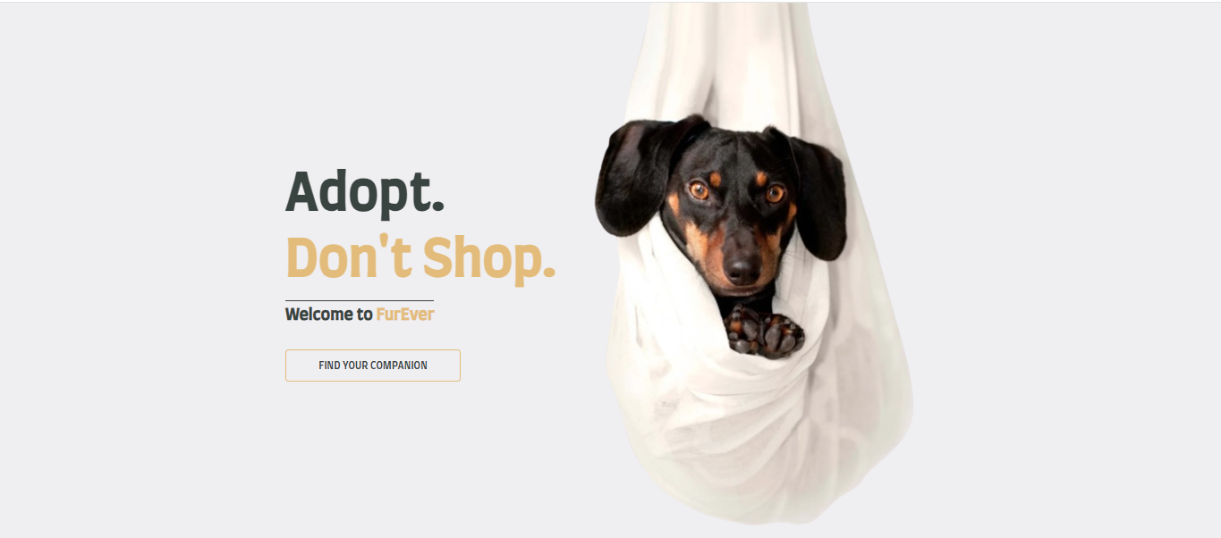 Dog Adoption Application